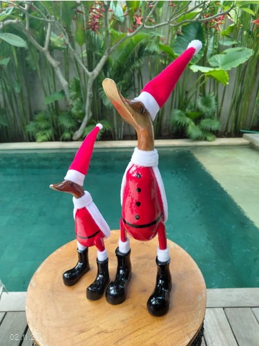 Bali wood canard - wood,