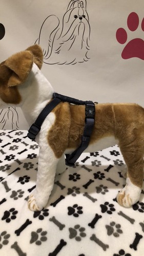 Hamilton dog harness - hamilton,