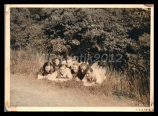 Photo, WW2, Sicile, die Inst