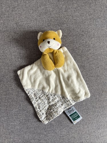 Doudou ours - ours, et