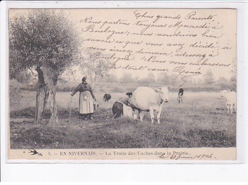 Nievre traite des vaches - traite,
