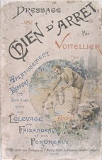 Voitellier Dressage du chien