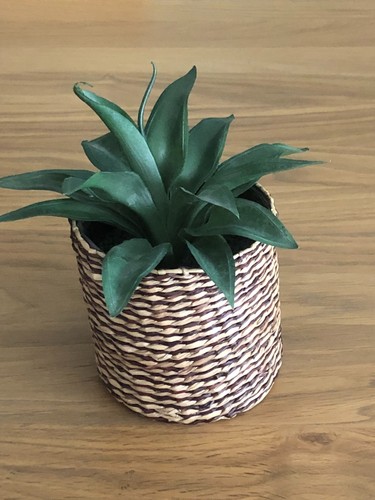 Plante artificielle avec cache - plante,