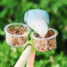 Mangeoires à oiseaux avec