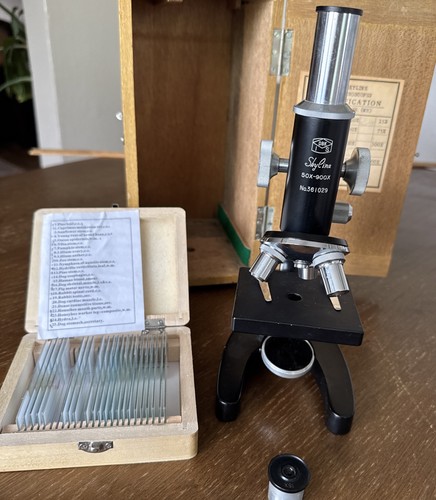 Vintage skyline student - vintage,