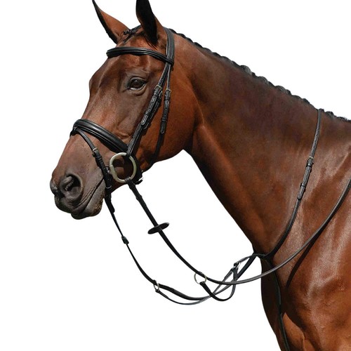 Collegiate martingale à - collegiate,