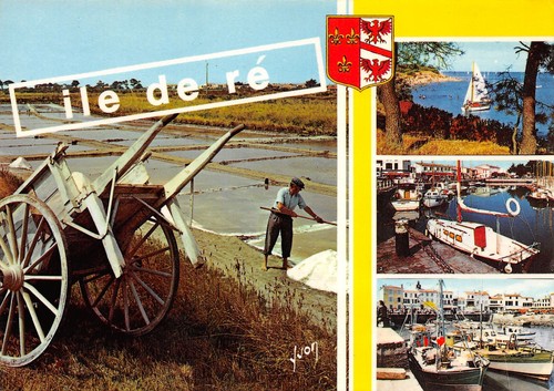 Ile re marais - 17-ile,