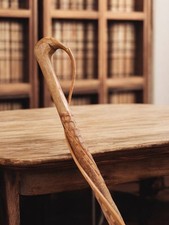 Ancienne canne de montagne