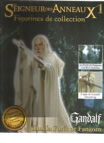 Seigneur des anneaux 01 - des, n°01
