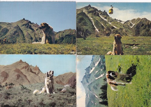 Lot cartes postales - lot, de