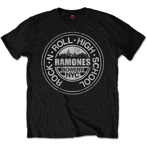 Ramones rock roll high - ramones,
