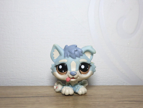 Littlest petshop husky 1683 - husky, #1683