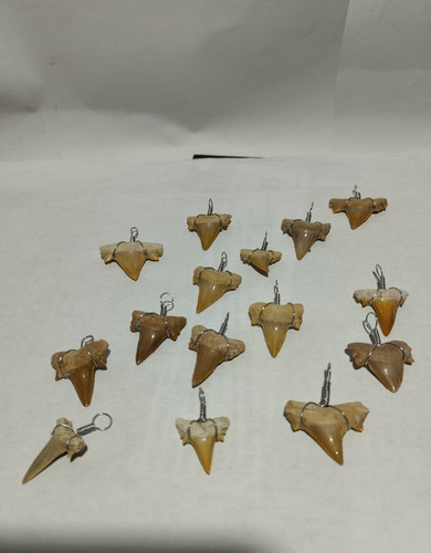 Lot pendentifs dents de - de,