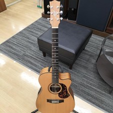 Guitare acoustique électrique
