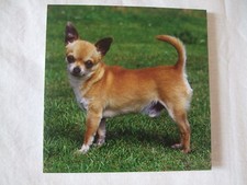 Carnet aimanté à feuilles -