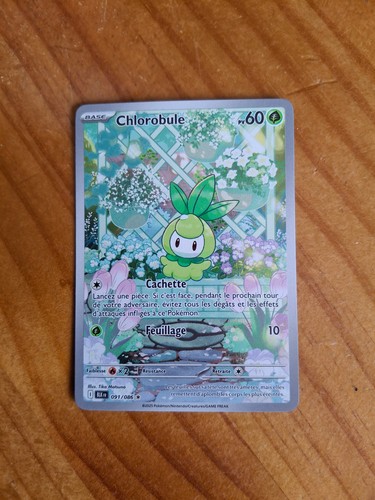 Carte pokémon chlorobule - carte,