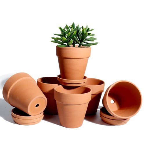 Pots terre cuite avec - terre,