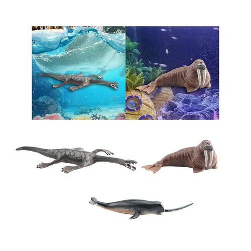 Figurines animaux marins - d'animaux,