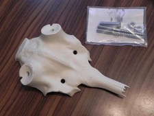 Tête De Cerf Artificielle