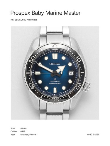Rare montre plongée - de,