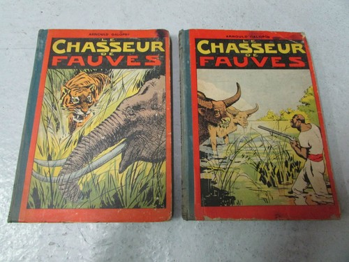 Chasseur fauves lot de - fauves,