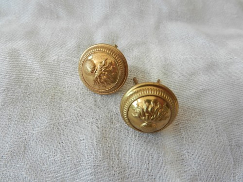 Boutons pour pattes - pour,