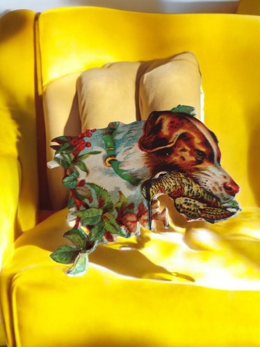 Chromo ancien chien chasse - chien,