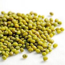 Lot De 40 Graines De Haricot