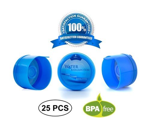 Gallon water bargain - water,