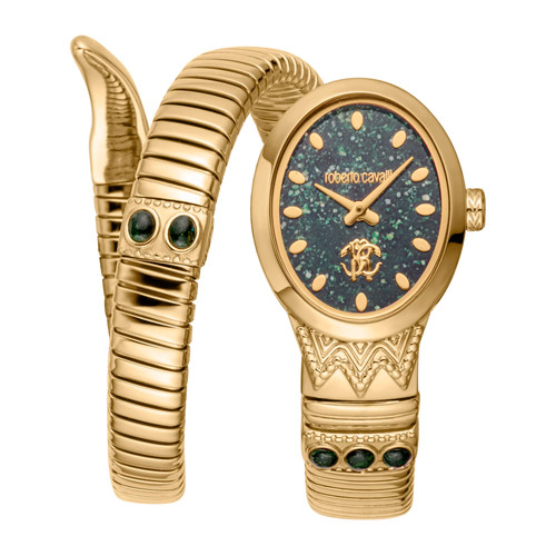 Montre roberto cavalli - montre,