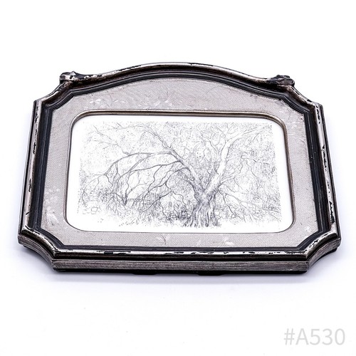 Dessin vintage saule - dessin,