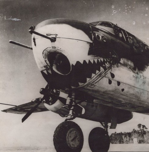 Ww2 mitchell tiger shark - mitchell,