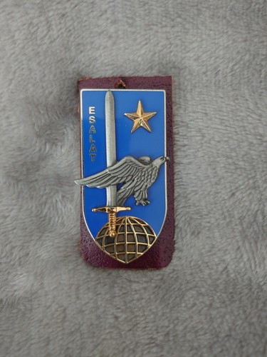 Insigne badge pucelle - insigne, ecole