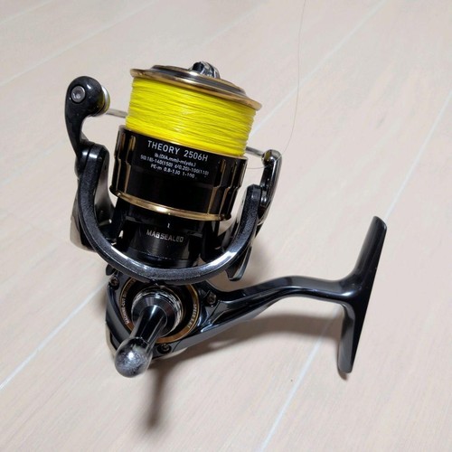 Daiwa theory 2506h - 17,