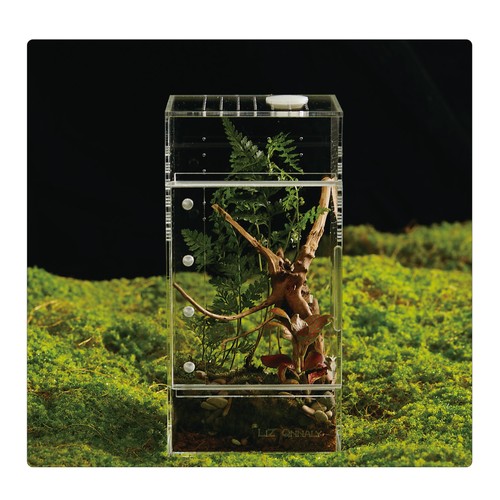 Acrylic terrarium for - for, reptiles