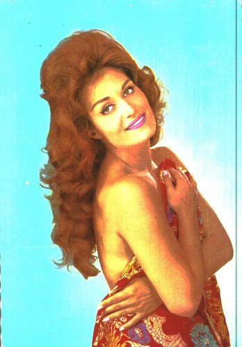 Dalida carte postale - carte,