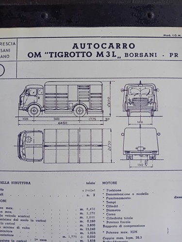 Tigrotto m3l borsani - tigrotto,