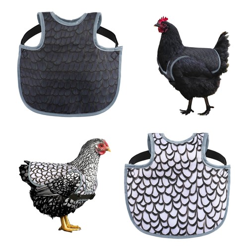 Chicken saddle for hens - chicken,