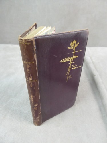Philomene par andré - philomene.,