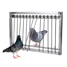 Porte Cage Pigeon Anti Retour