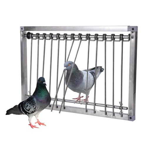 Porte cage pigeon anti retour - pigeon,