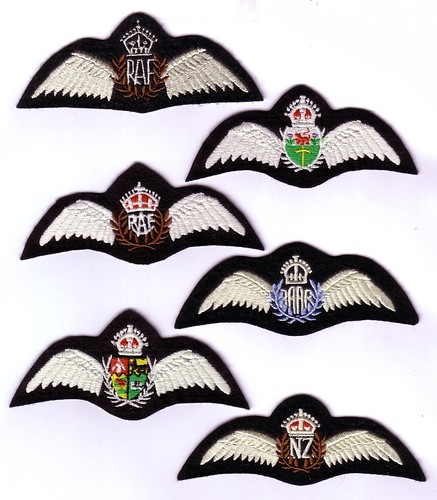 Wwii royal air force pilot - air,