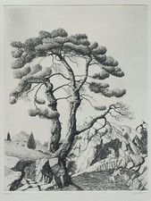 Jacques HOUPLAIN (1920-2020)