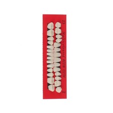 28 pièces/ensemble modèle de