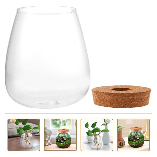 Bouteille terrarium - ,