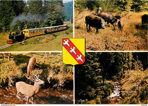 Carte postale trains - carte,