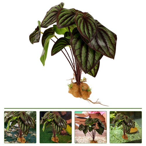 Plantes artificielles pour - ,