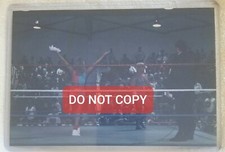 Tammy Lynn Sytch as Sunny Bodydonnas Skip Chris Candido 4x6 Photo Original WWF 