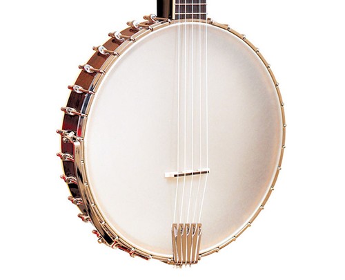 Gold tone ceb - 5-string, cello