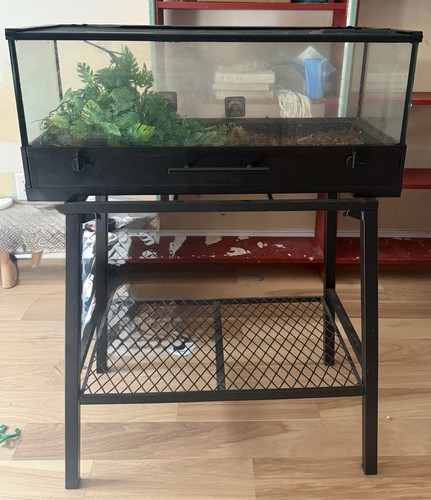 Glass terrarium tank with - terrarium,